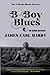 B-Boy Blues by James Earl Hardy