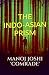 The Indo-Asian Prism