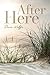 After Here by Dave  Wolffe