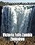 Picture Of Victoria Falls Z...