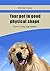 Your pet in good physical s...