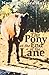 The Pony at the End of the ...