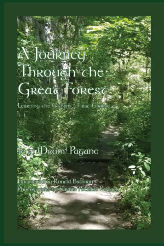 A Journey Through the Great Forest: Learning the Ogham - A first course (Paperback)