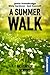 A Summer Walk: Large Print ...