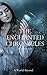 The Enchanted Chronicles: A...