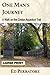 One Man's Journey by Ed Perratore