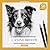 Learn to draw like a profes...