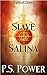 Slave of Salina (Crystals of Memory, #7.5)