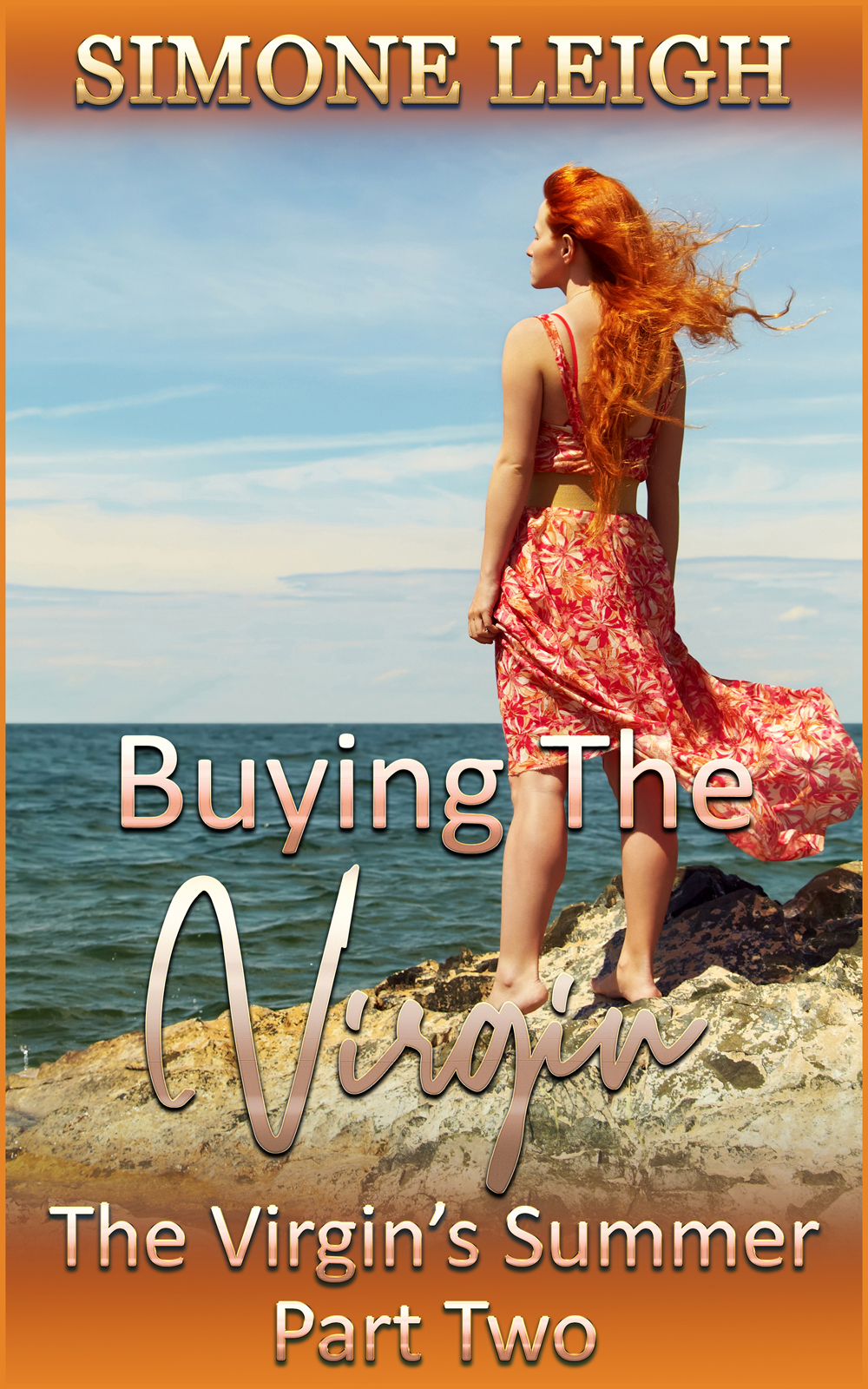 The Virgin's Summer Part Two (Buying the Virgin, #14)