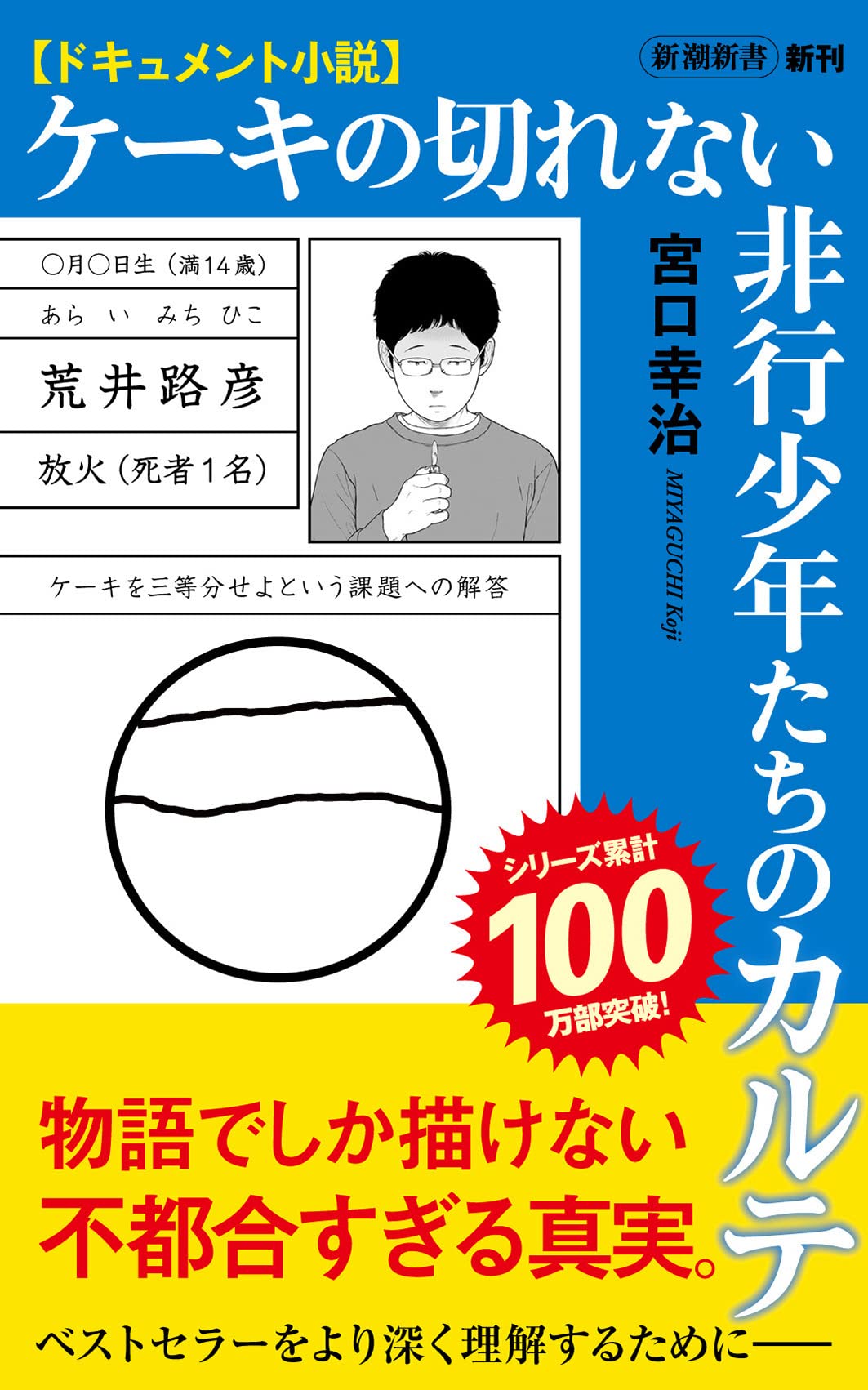 ドキュメント小説　ケーキの切れない非行少年たちのカルテ (Paperback)