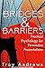 Bridges & Barriers: Practical Psychology for Persuasive Presentations