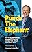 Punch The Elephant  by Mike  Koenigs