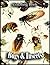 Bugs Insects Coloring Book:...