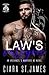 Law's Valkyrie (Dublin Falls' Archangel's Warriors MC, #20)