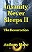 Insanity Never Sleeps II: T...