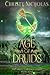 Age of Druids: An Irish Historical Fantasy (Druid's Brooch Series)