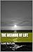 The meaning of life by Luke Butler