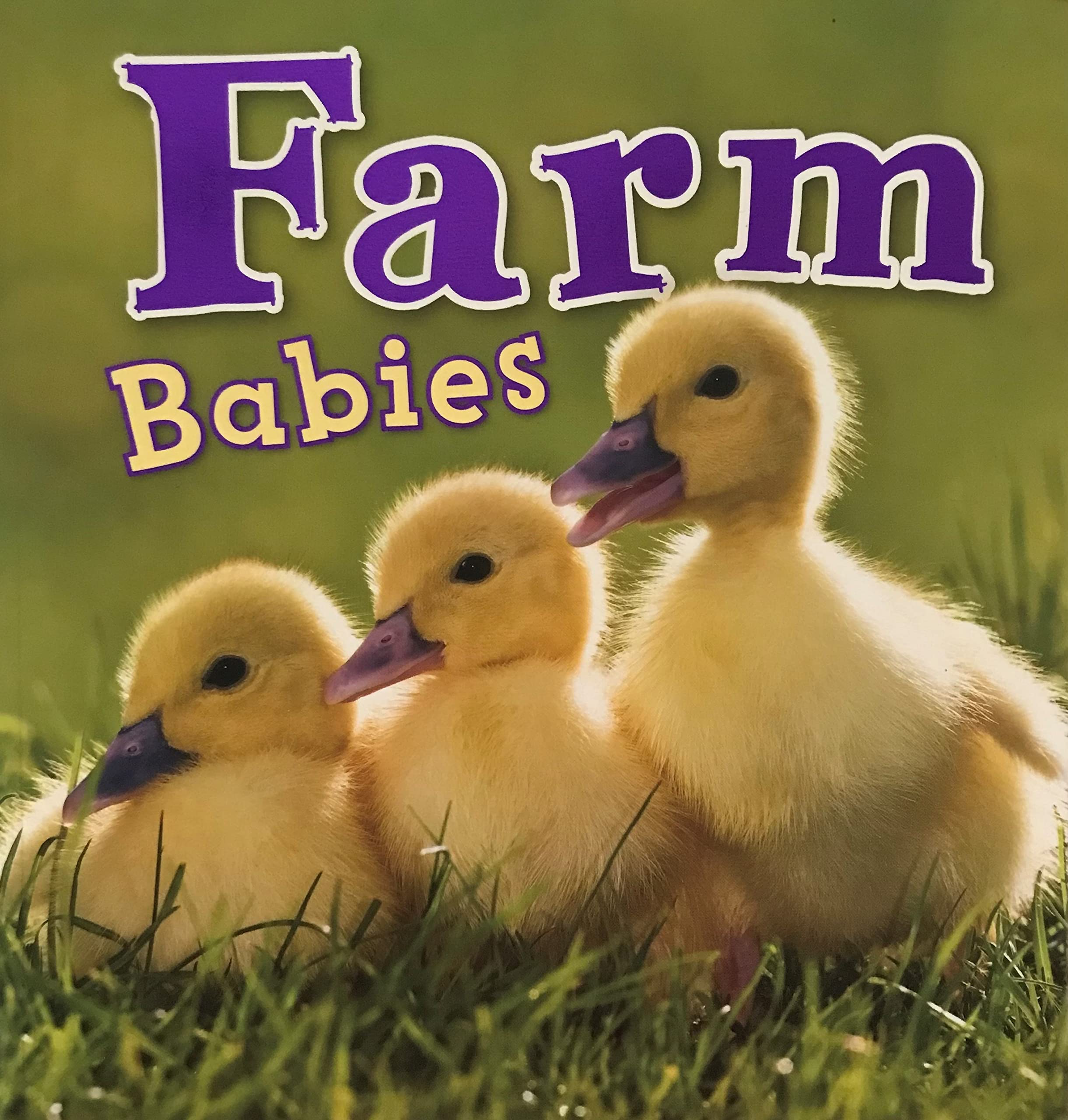 Farm Babies (Paperback)