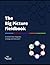 The Big Picture Fieldbook by Marta Dapena Baron
