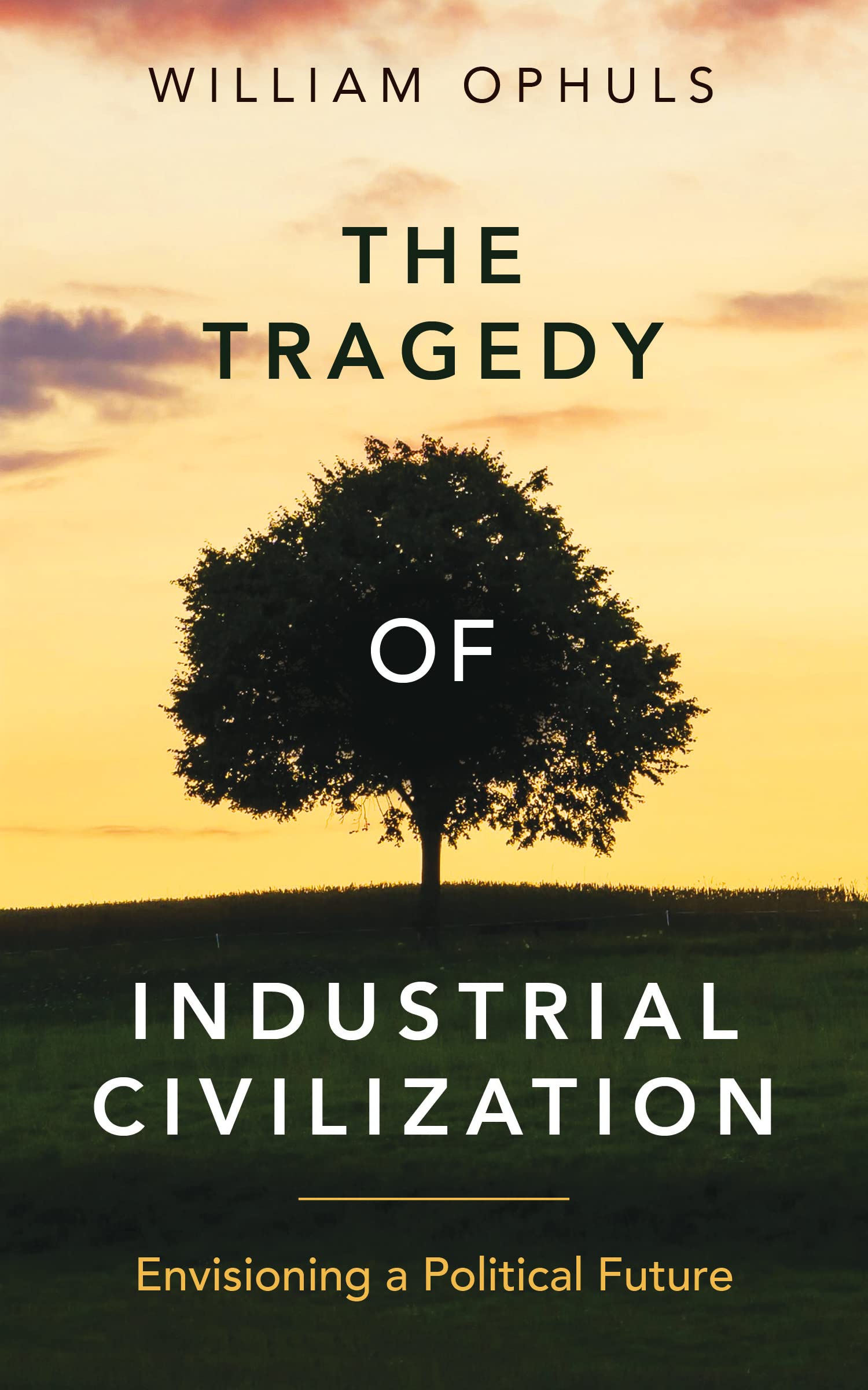 The Tragedy of Industrial Civilization: Envisioning a Political Future (Kindle Edition)