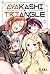 Ayakashi Triangle vol. 3 (Ayakashi Triangle, #3)
