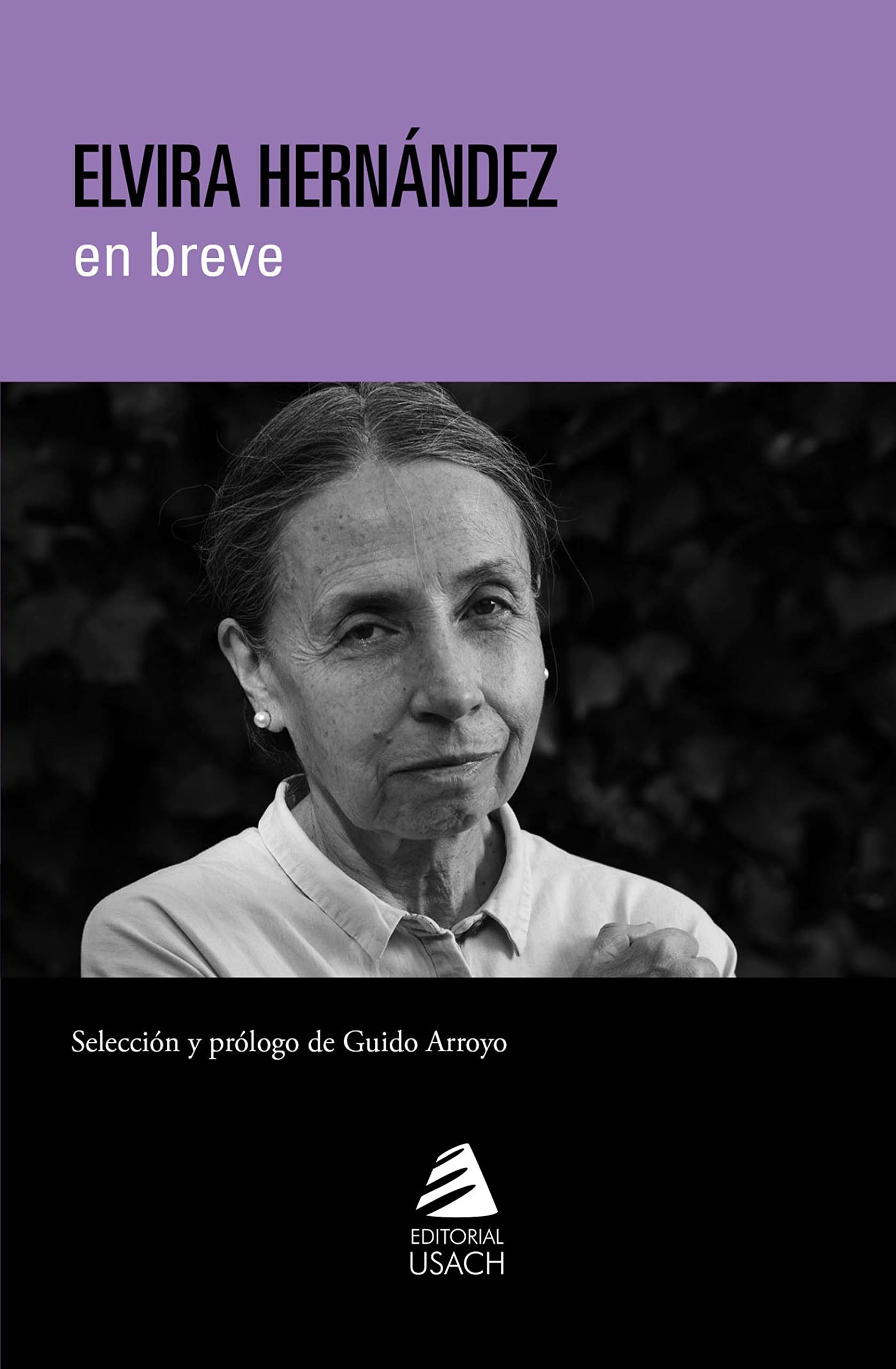Elvira Hernández en breve (Kindle Edition)