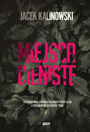 Miejsca cieniste (Paperback)
