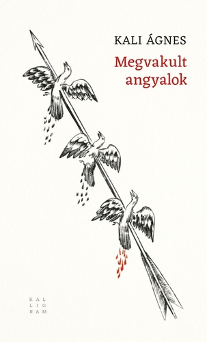 Megvakult angyalok (Paperback)