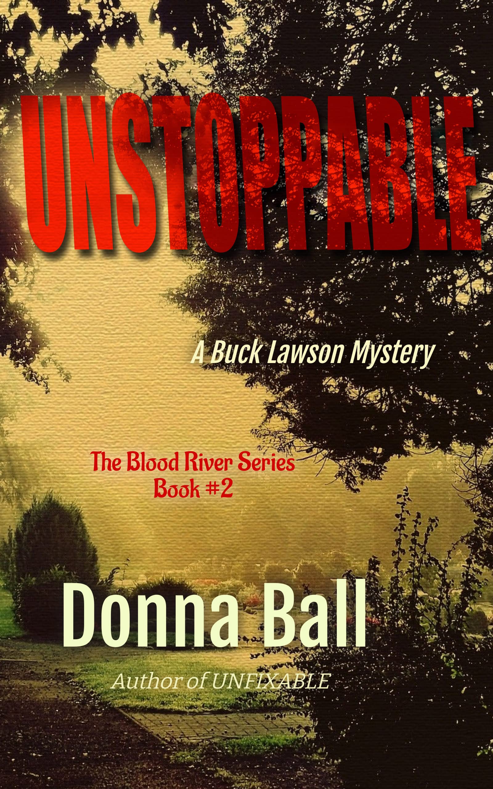 Unstoppable: A Buck Lawson Mystery (Blood River, #2)