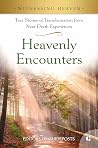 Heavenly Encounte...