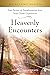 Heavenly Encounters: True Stories of Transformation from Near-Death Experiences (Witnessing Heaven)