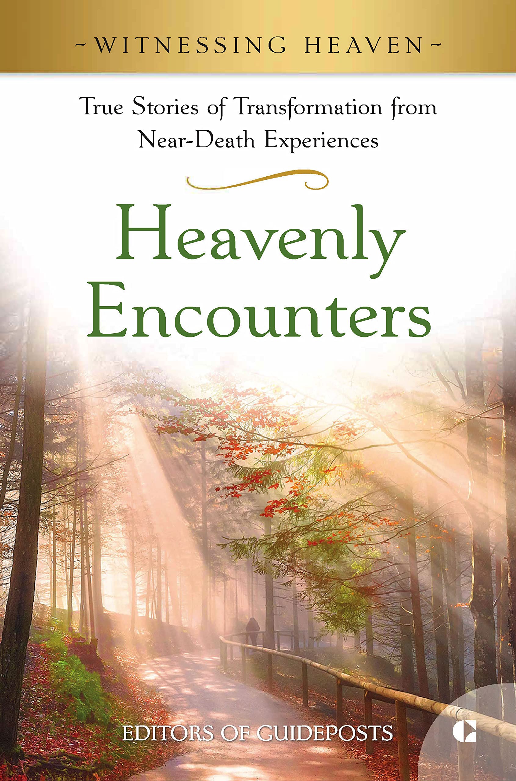 Heavenly Encounters: True Stories of Transformation from Near-Death Experiences (Witnessing Heaven)
