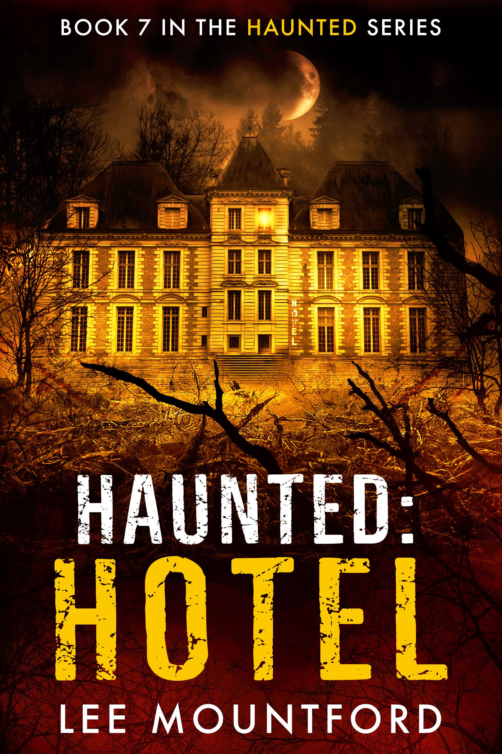 Haunted: Hotel (Kindle Edition)