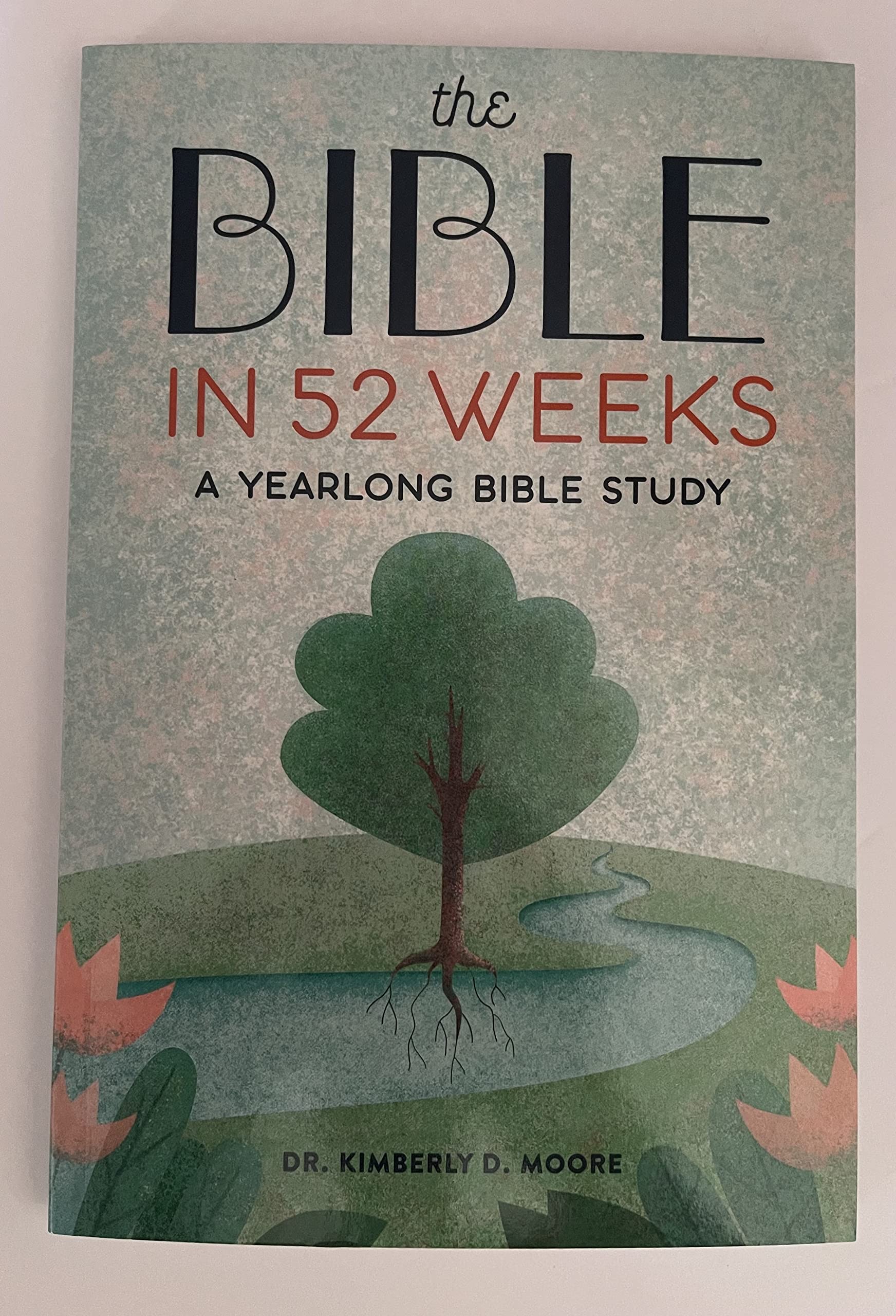 The Bible in 52 Weeks A Yearlong Bible Study (Perfect Paperback)