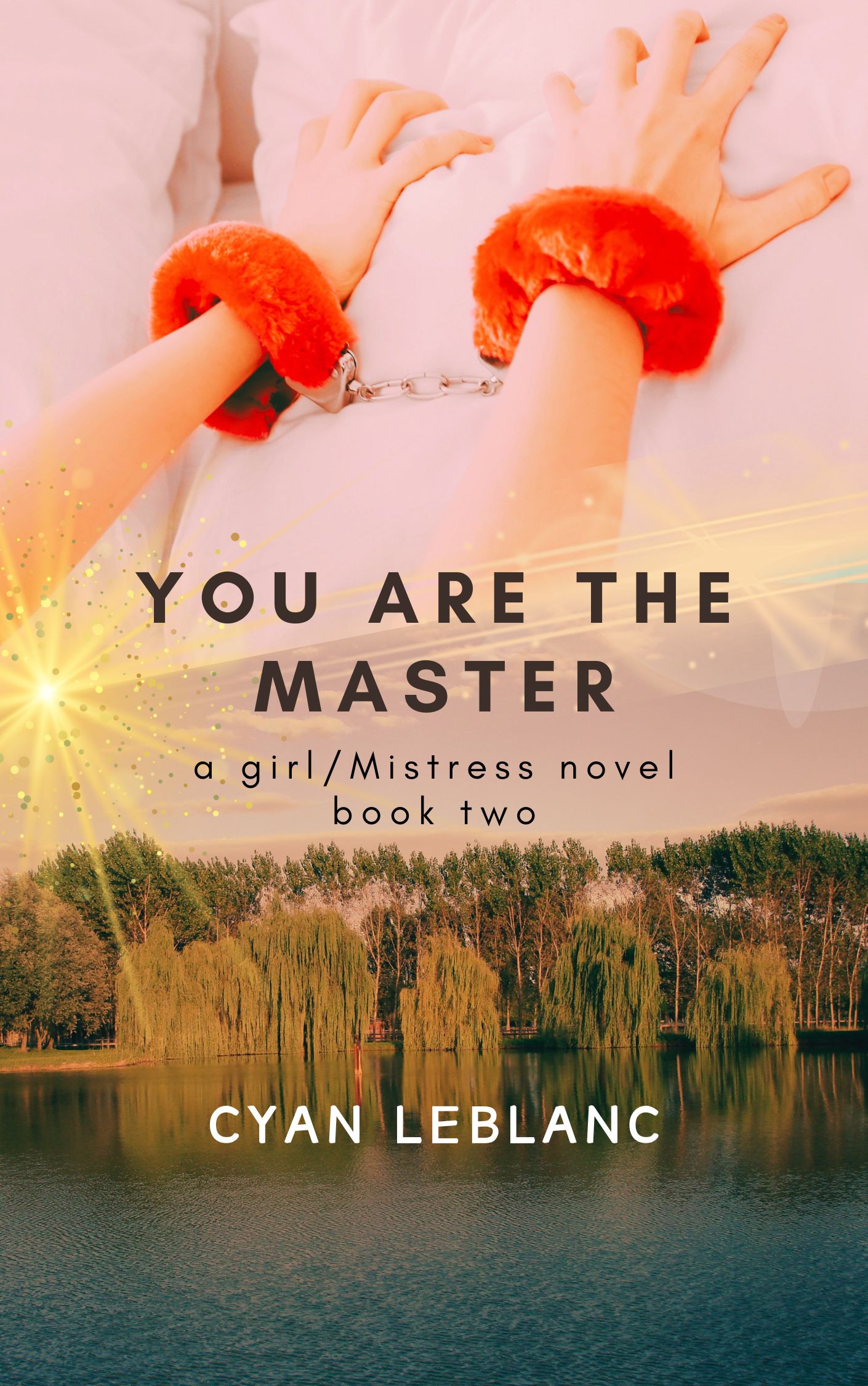You Are The Master (A girl/Mistress Story, #2)