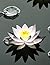 The Artistic Algorithm: The...
