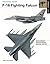 F-16 Fighting Falcon by Ryan Cunningham