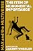The Item of Monumental Importance (Max and the Multiverse Shorts #1)