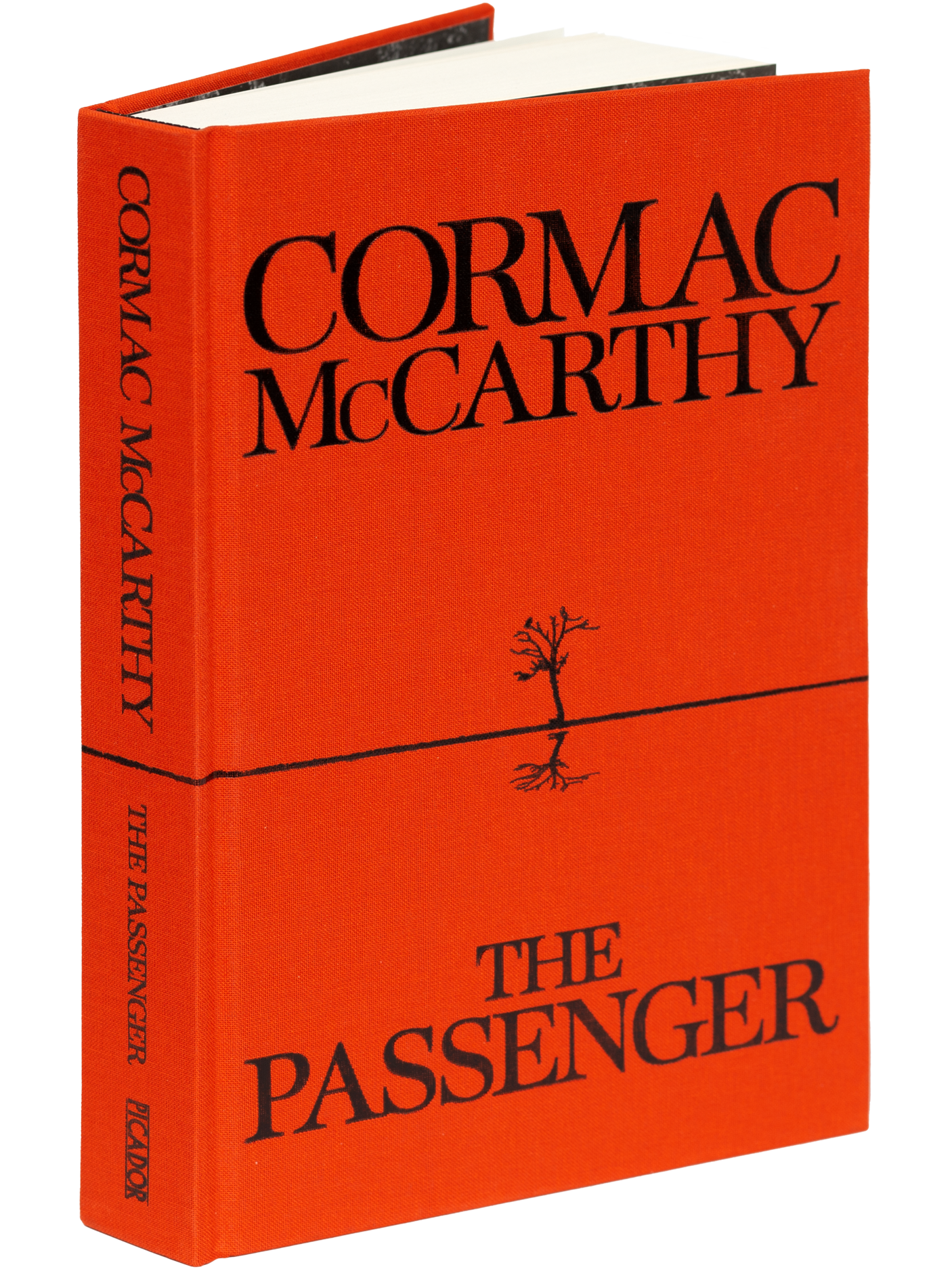 The Passenger