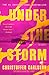 Under the Storm (Hallandssviten, #1)
