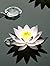 The Artistic Algorithm: The...