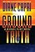 Ground Truth: A Michael Fli...