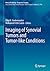 Imaging of Synovial Tumors and Tumor-like Conditions (Medical Radiology)
