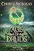 Age of Druids: A Dark Irish Historical Fantasy (The Druid's Brooch)