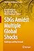 SDGs Amidst Multiple Global Shocks: Challenges and Way Forward (India Studies in Business and Economics)