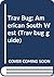 Trav Bug: American South West