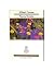 Noces / L'estiu (MOLU s.XX - Les Millors Obres de la Literatu... by Albert Camus