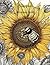 sunflower coloring book by Melody Davis