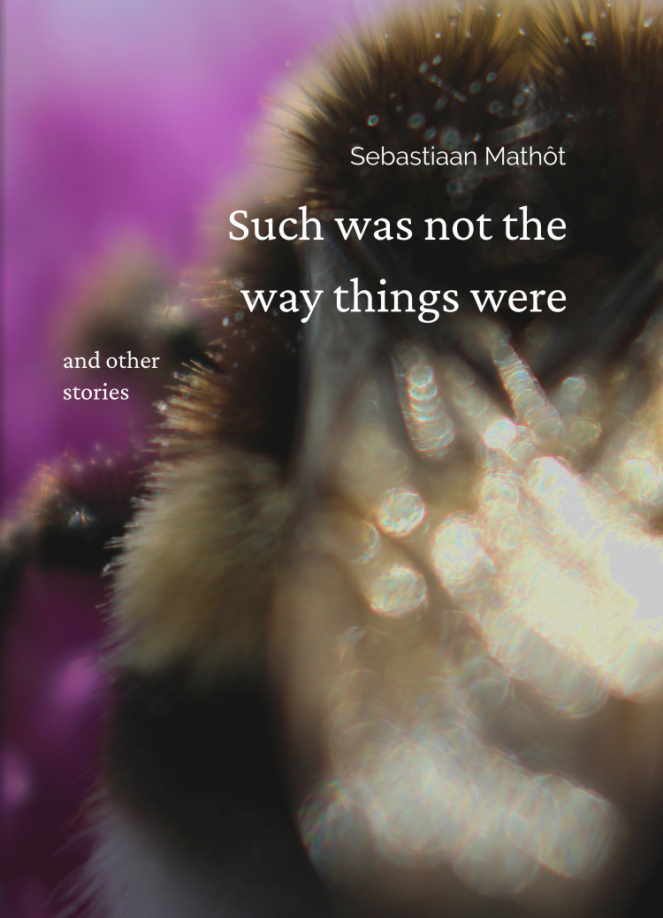 Such was not the way things were and other stories