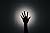 The Enigma of the Lost Shadows
